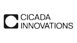 Cicada