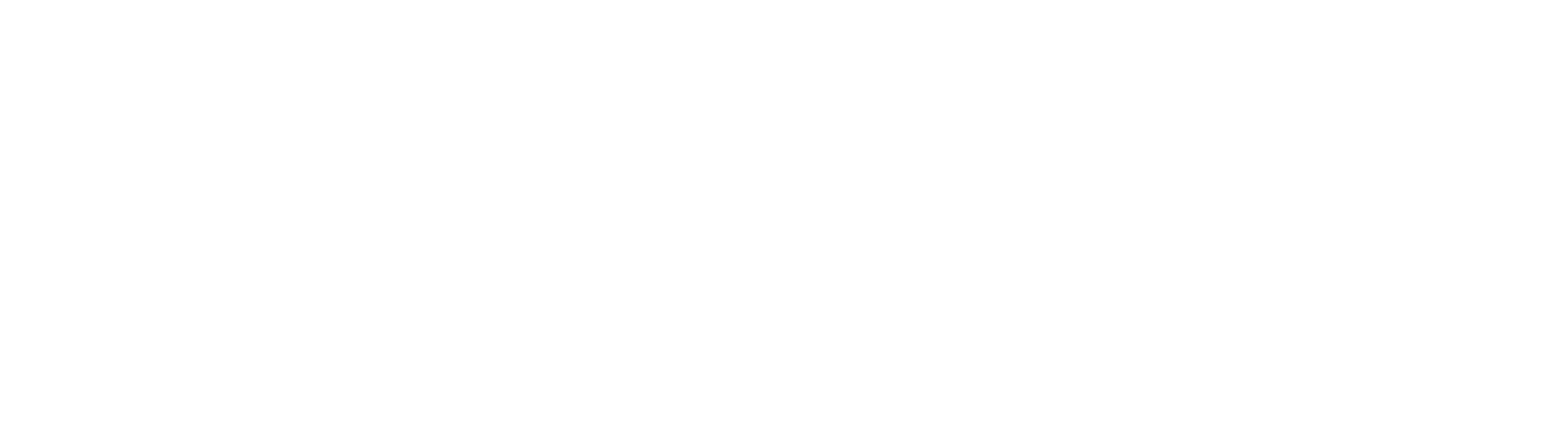 Website_HS-logo-3-2025